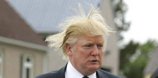 Local “Devil’s Advocate” Terrified as he Realizes Donald Trump Might Actually Have Chance of Winning Donald Trump on U.S. Women’s team