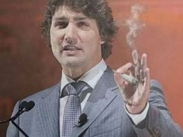 Justin Trudeau confirmed as Guest of Honour at 420 Vancouver 2016