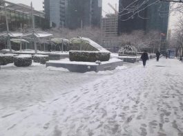 Vancouver Declares State Of Emergency As Thousands Of Snowflakes Batter City