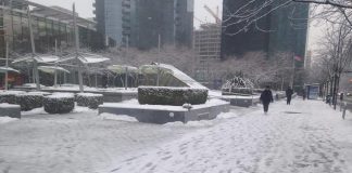 Vancouver Declares State Of Emergency As Thousands Of Snowflakes Batter City Vancouver Declares State Of Emergency As Thousands Of Snowflakes Batter City