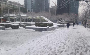 Vancouver Declares State Of Emergency As Thousands Of Snowflakes Batter City Vancouver Declares State Of Emergency As Thousands Of Snowflakes Batter City