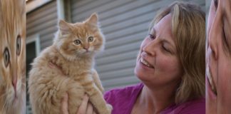 Lady Who Raised 10 Vegan Cats Claims The One That Lived Is Doing Great Lady Who Raised 10 Vegan Cats Claims The One That Lived Is Doing Great