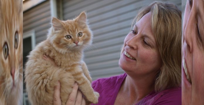 Lady Who Raised 10 Vegan Cats Claims The One That Lived Is Doing Great