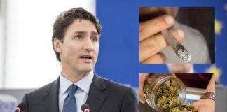 Trudeau Vows Not To Get Stoned Again Until Weed Is Legalized For All Canadians Trudeau stoned no more?