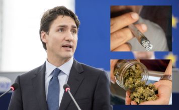 Trudeau Vows Not To Get Stoned Again Until Weed Is Legalized For All Canadians Trudeau stoned no more?