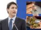 Trudeau Vows Not To Get Stoned Again Until Weed Is Legalized For All Canadians Trudeau stoned no more?