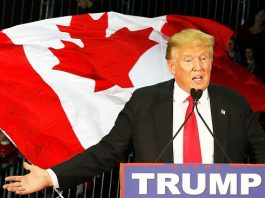 Trump Demands Canadian Border Wall After Learning Mexico Not Only Country Adjacent To U.S.