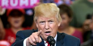 5 Signs You’re Secretly A Stable Genius