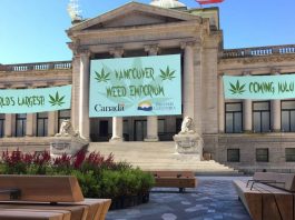 World's Largest Marijuana Emporium Set To Replace Vancouver Art Gallery