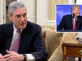 Nation Wonders How Much More Fucking Evidence Mueller Needs Exactly