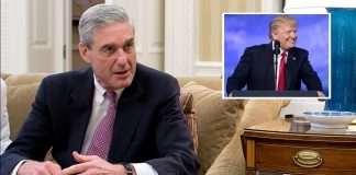 Nation Wonders How Much More Fucking Evidence Mueller Needs Exactly Nation Wonders How Much More Fucking Evidence Mueller Needs Exactly