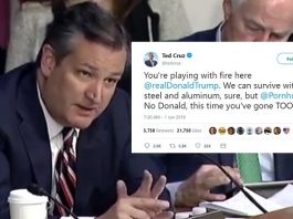 Ted Cruz Slams Trump's Trade Tariffs After Discovering Pornhub Is Canadian