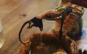 Live-Action Ratatouille Remake Ends In Tragedy In Vancouver Live-Action Ratatouille Remake Ends In Tragedy In Vancouver | Famous Vancouver rat found dead