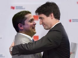 Trudeau Scheer kiss expected to happen this week