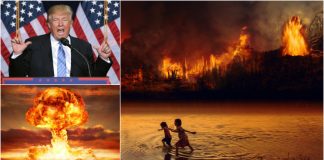 Trump Proposes Nuking Amazon Rainforest To Stop Fire Spreading Trump Nuking Rainforest Will Stop Fire Spreading'
