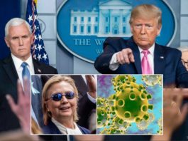 Trump Declares Hillary Clinton Is Coronavirus Patient Zero