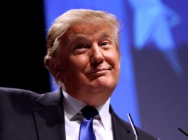 Trump Insists Entire Presidency Has Been Sarcastic